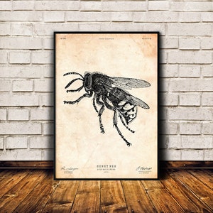 Bee print, Beekeeper gift, Cabin decor, Honey bee gift, Lodge wall art, Vintage poster