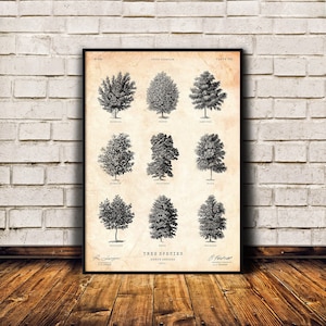 Baum Kunstdruck, Baumarten Poster, Wald Wandkunst, Hütte Dekor, Gemütliches Wohndekor