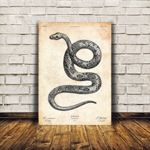 May include: A vintage black and white illustration of a snake, with the text "SNAKE SERPENS 1871" below the image.