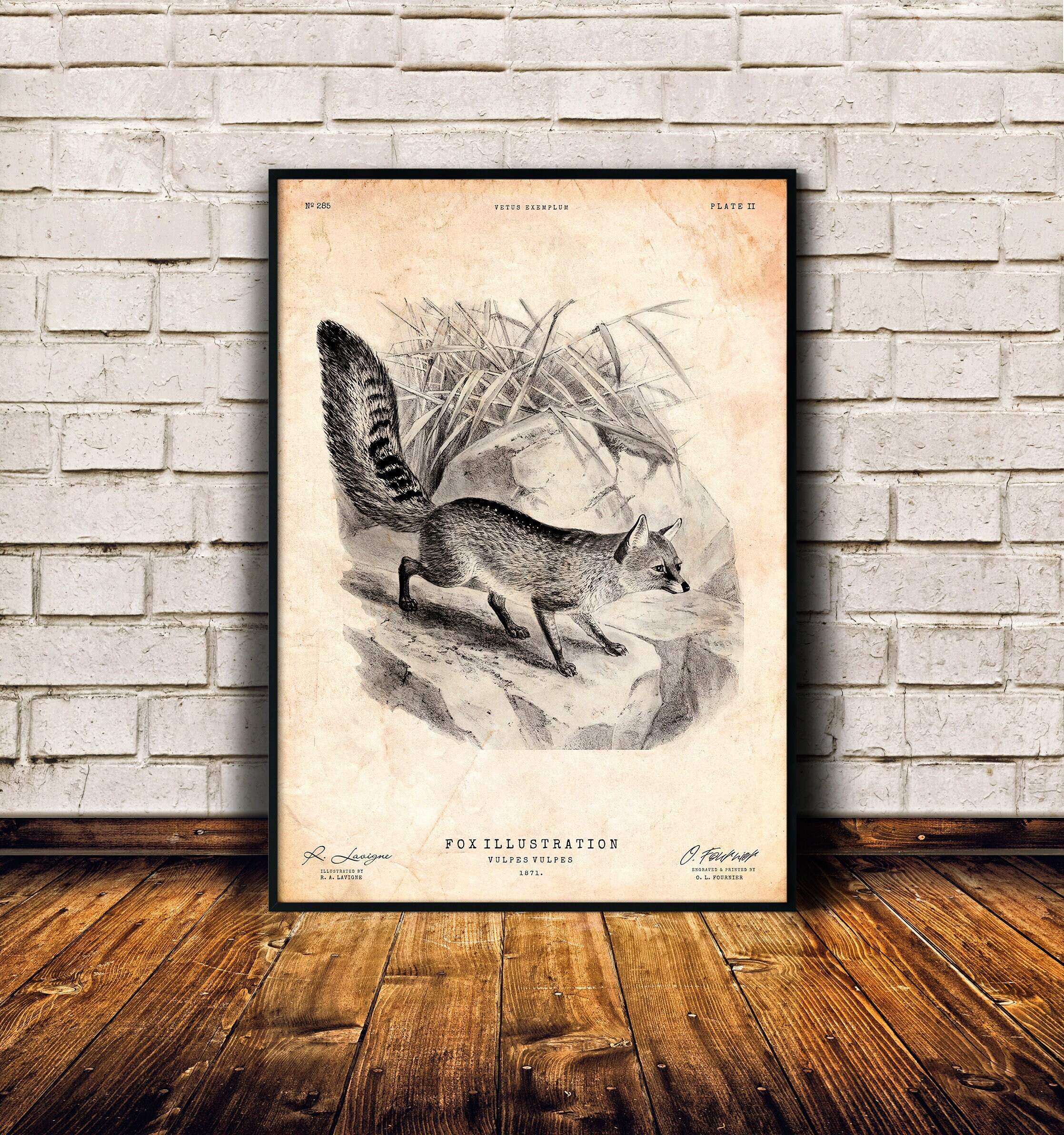 Fox print, Woodland wall art, Animal print, Fox gift, Lodge decor, Vintage illustration