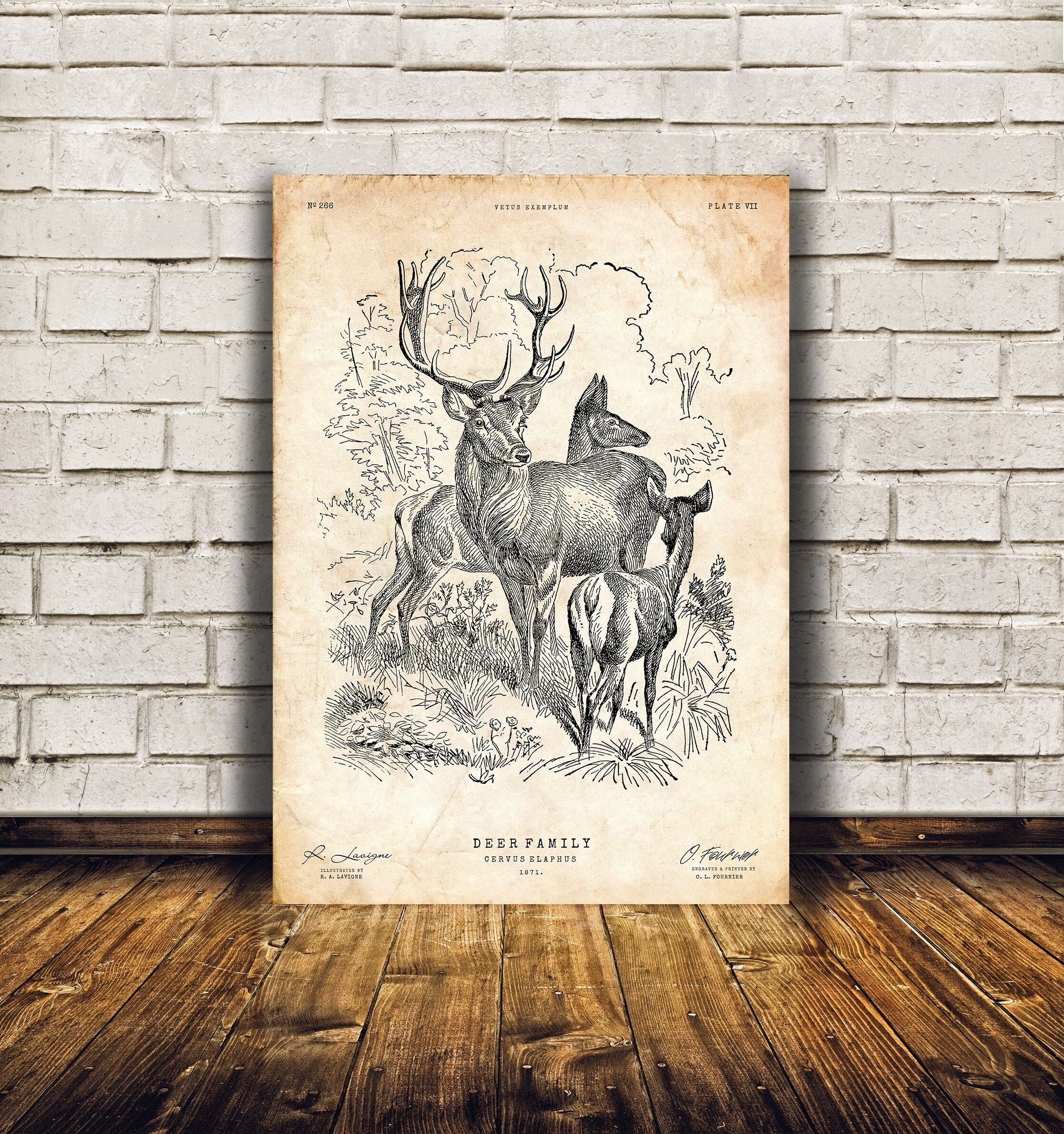 Deer Art Print Stag Poster Animal Lover Gift Vintage - Etsy