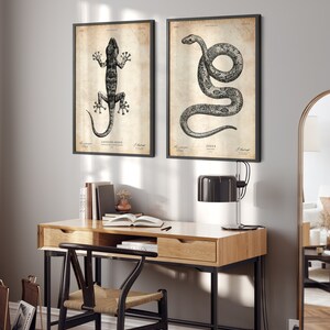 May include: Two framed black and white vintage illustrations of a lizard and a snake. The illustrations are on a beige background with black text. The frames are black and have a white mat.