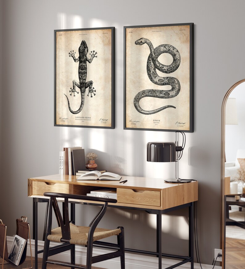 May include: Two framed black and white vintage illustrations of a lizard and a snake. The illustrations are on a beige background with black text. The frames are black and have a white mat.