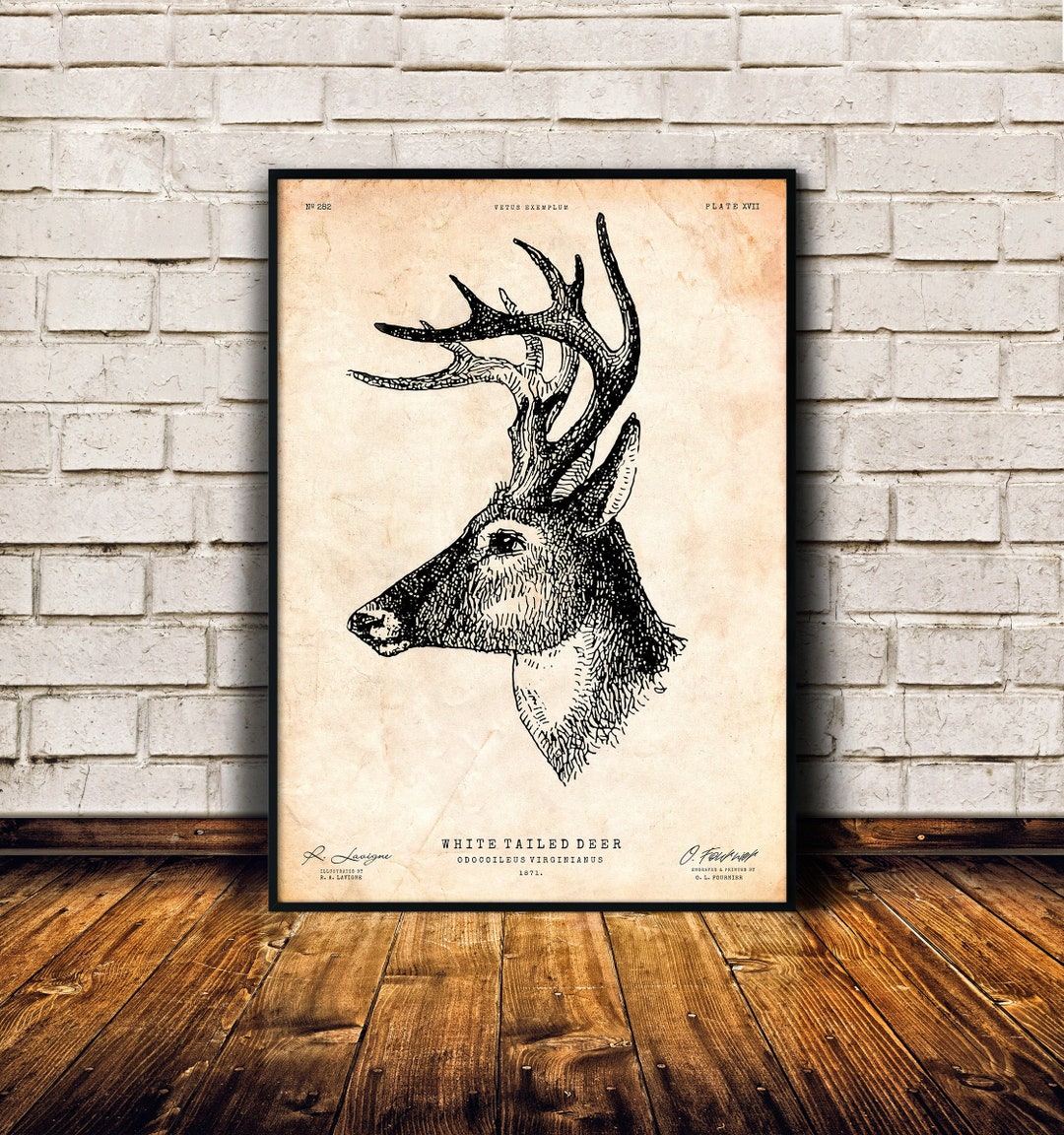 Deer Wall Art, Rustic Decor, Stag Head Poster, Woodland Animals Print ...