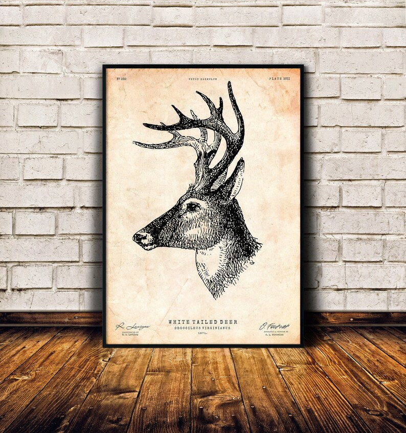 Deer Wall Art Rustic Decor Stag Head Poster Woodland - Etsy