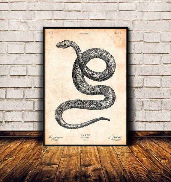 Snake art print, Reptile gift, Lodge wall art, Vintage animal print, Snake lover gift