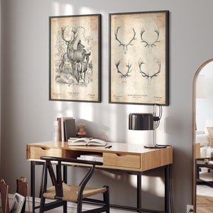 May include: Two framed black and white illustrations of deer. The left illustration shows a deer family with a buck, doe, and fawn. The right illustration shows four different types of deer antlers. The text "Deer Family" and "Deer Antler Types" is printed below each illustration.