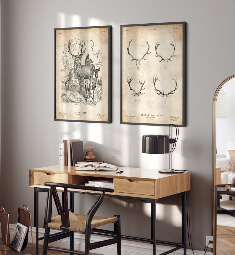 May include: Two framed black and white illustrations of deer. The left illustration shows a deer family with a buck, doe, and fawn. The right illustration shows four different types of deer antlers. The text "Deer Family" and "Deer Antler Types" is printed below each illustration.