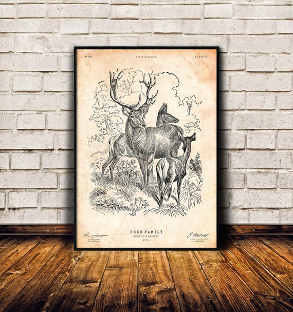Deer art print, Stag poster, Animal lover gift, Vintage poster, Cabin decor