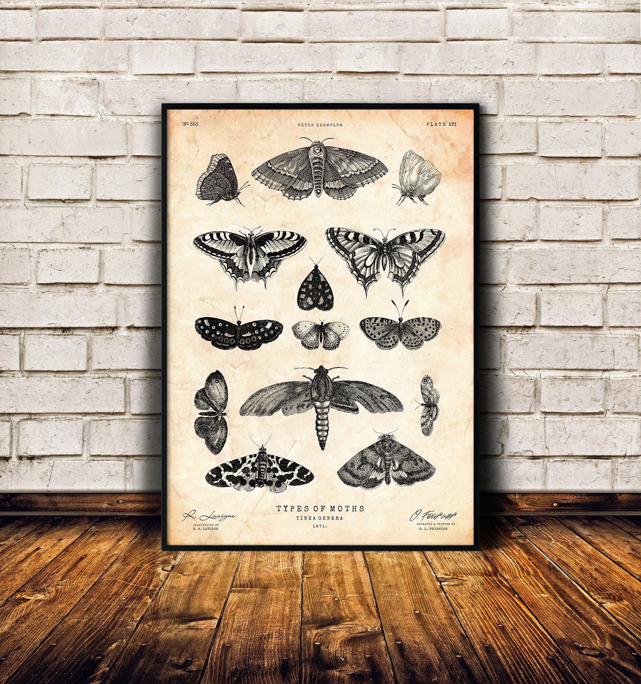 The Last of Us Ellie Moth Tattoo T-shirt – Playfulbean