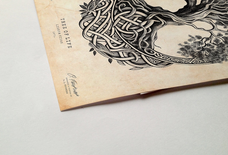 May include: A black and white illustration of a tree of life with intricate knotwork and leaves. The image is on a vintage-looking paper with the text "TREE OF LIFE" and "LIONON VITAE" in a decorative font.