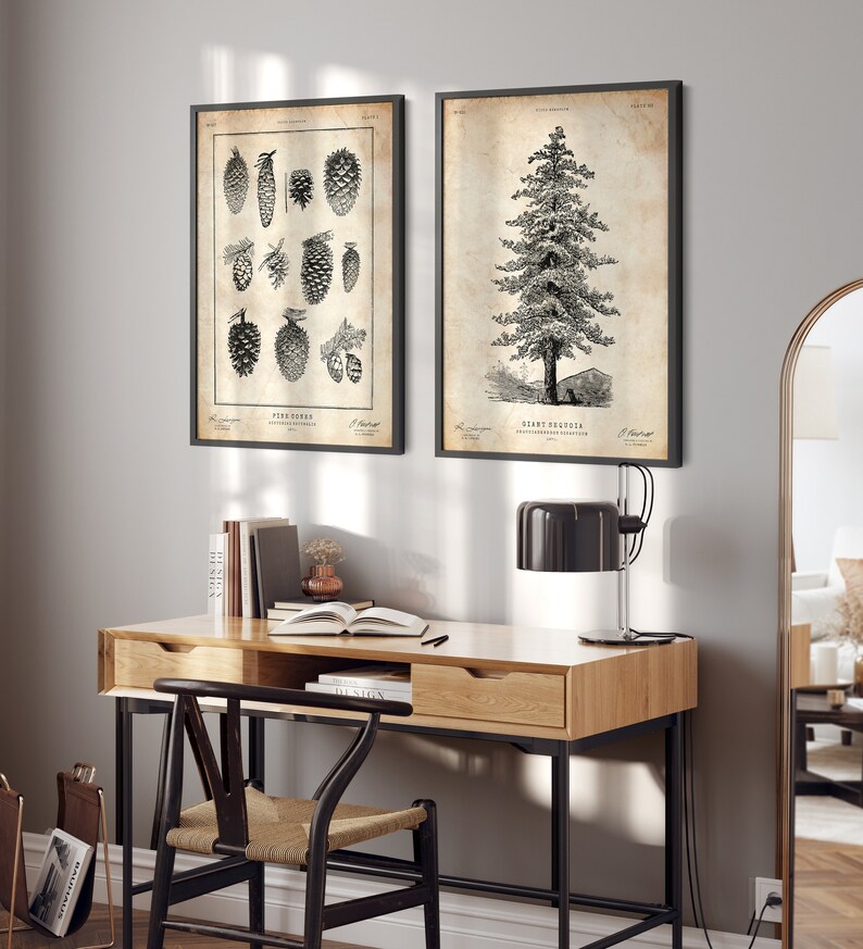 Sequoia tree print, Pine tree wall art, Cabin decor, Tree art, Natural history print image 2