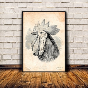 Regalo de pollo, impresión de arte de gallo, cartel de pájaro vintage, impresión de pájaro, decoración antigua, decoración de pared de granja