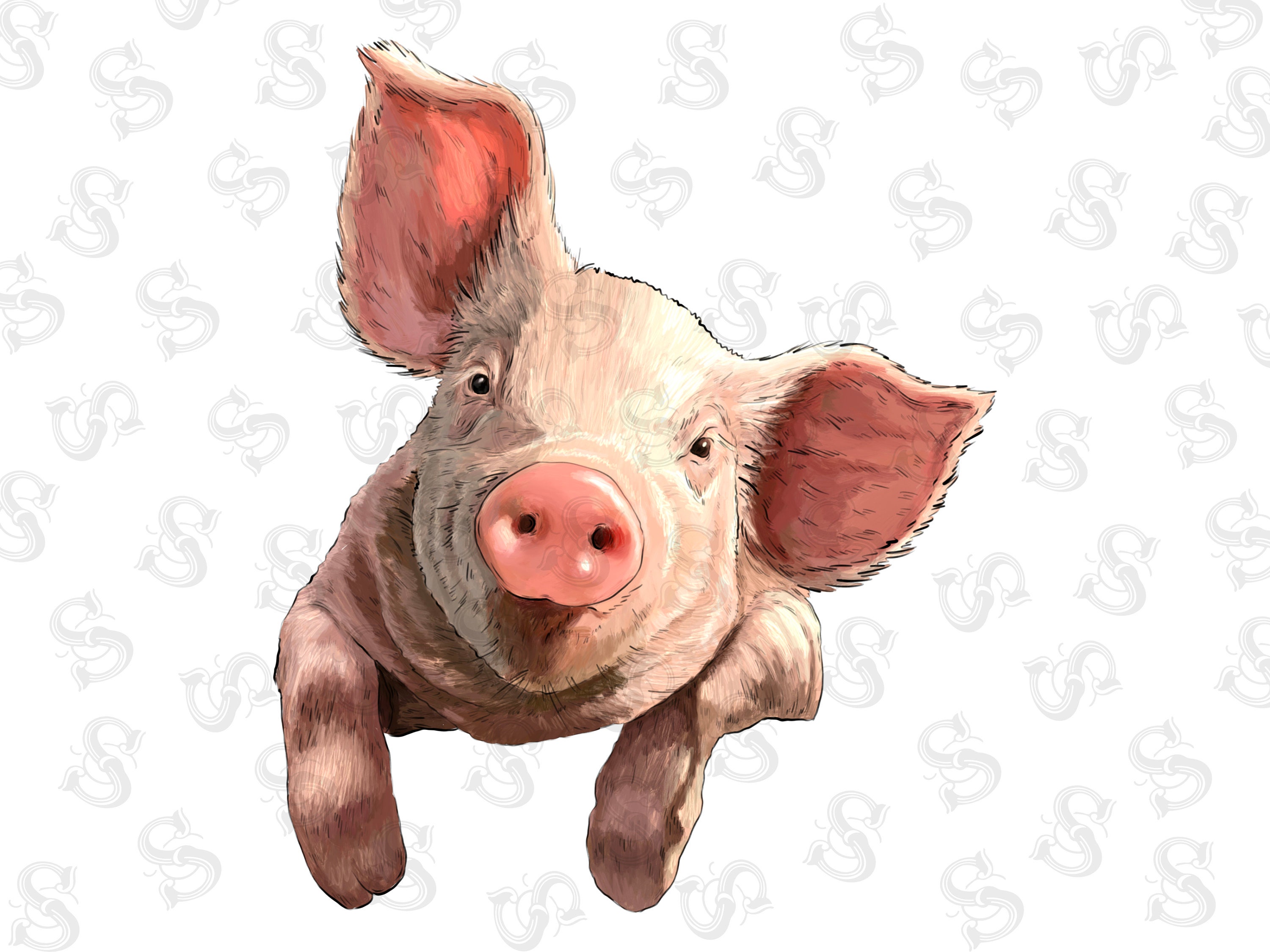 Pig For Men Svg Downloads Etsy pig-for-men-svg-downloads-etsy