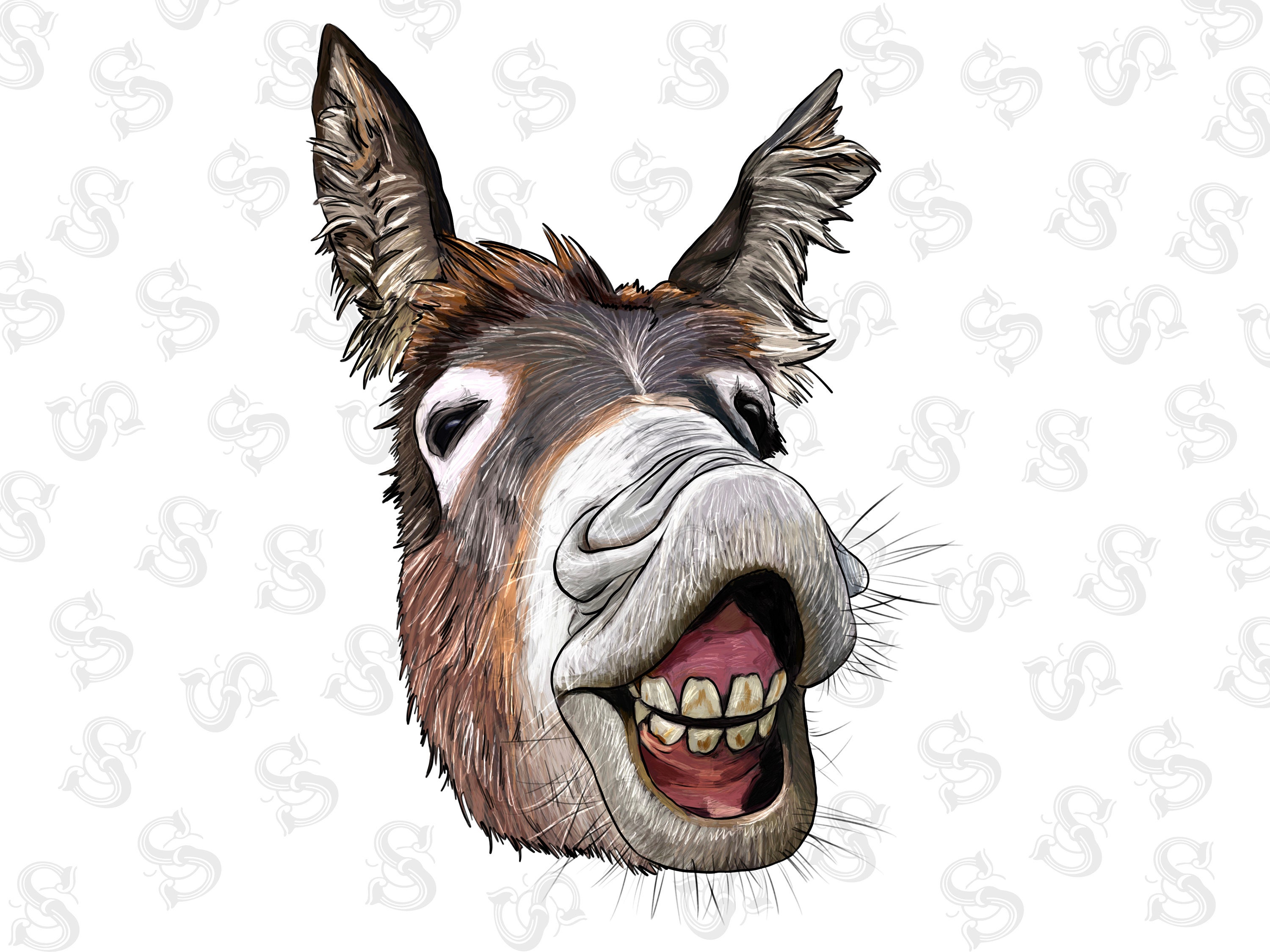 Donkey Light Stare - hahe3sx