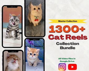 50 Funny Cat Videos Hilarious Animal Videos Random Funny Videos Kitten Video IG Reels Tiktok Reels Youtube Shorts Etsy