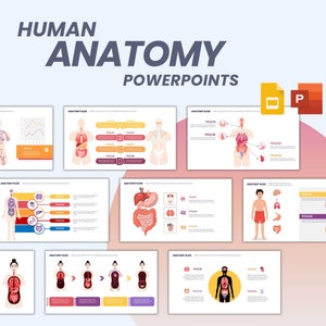 Modelos totalmente editáveis do PowerPoint de anatomia | Modelos de PowerPoint médicos | Modelo de apresentação |