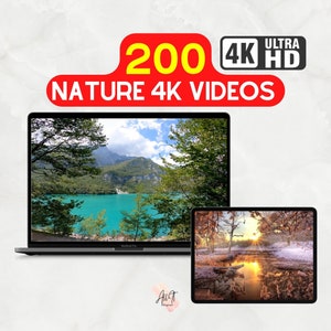 Nature Videos | 200 4K Nature Footage | Ultra HD Youtube Video Collection |