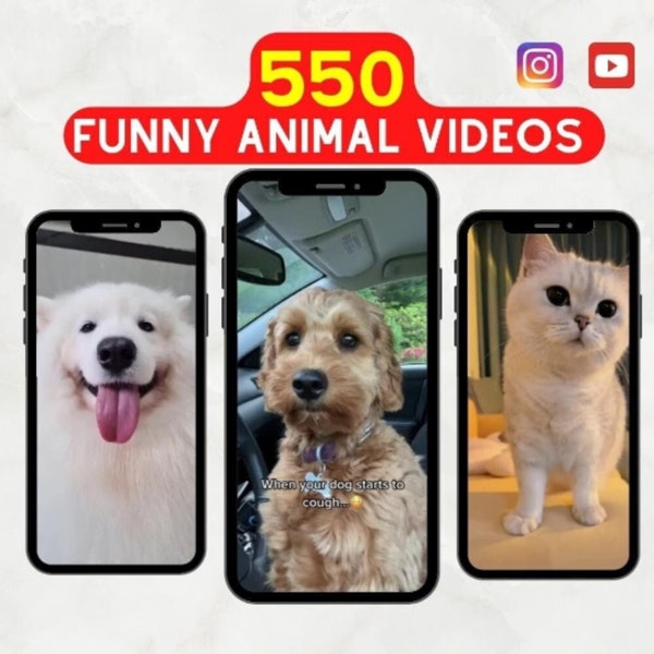 Video divertenti di animali / Collezione 550 cortometraggi / Video di gatti / Video di cani / Tiktok, pantaloncini di YouTube, filmati di Instagram /