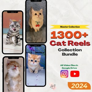 Mais de 1300 vídeos de gatos | Modelos de carretel de gato | Carretéis de gatos fofos | Modelos do Instagram | Curtas do YouTube | Modelos de vídeo TikTok |
