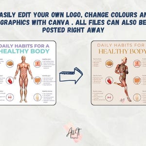 1500+ Canva-infografikmallar för hälsa | Fitness, Näring (redigerbar) bild 4