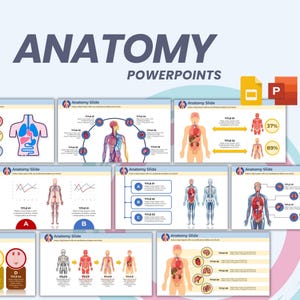 以下が含まれることがあります： 「ANATOMY POWERPOINTS」と題されたPowerPointスライドのコレクション。呼吸器系、循環器系、骨格系など、人体の解剖図が特徴です。各スライドには「Anatomy Slide」とラベルが付けられています。