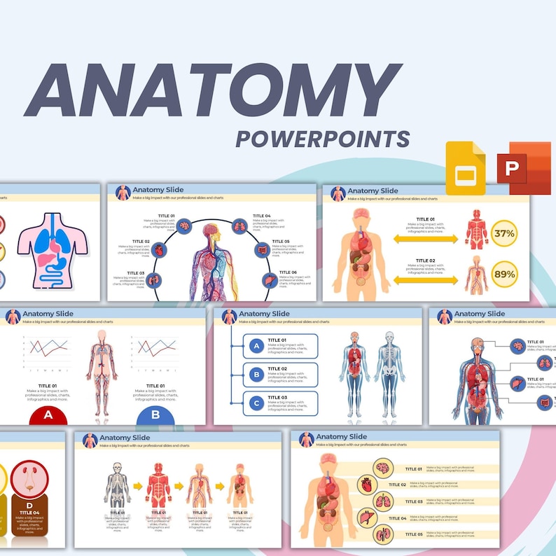 Editable Anatomy Chart Powerpoint Templates | Biology Presentation ...
