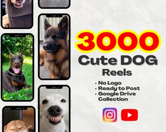 Dog Videos | 3000 Shorts Collection | Cute Dog Videos | Pet Videos | Tiktok, Youtube Shorts, Instagram Reels |