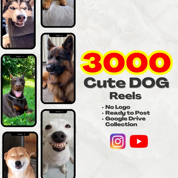 Hundevideos | 3000 Shorts Kollektion | Süße Hundevideos | Tiervideos | Tiktok, Youtube Shorts, Instagram Walzen |