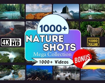 1000+ 4K & HD Nature Videos | Footage Collection (Google Drive)