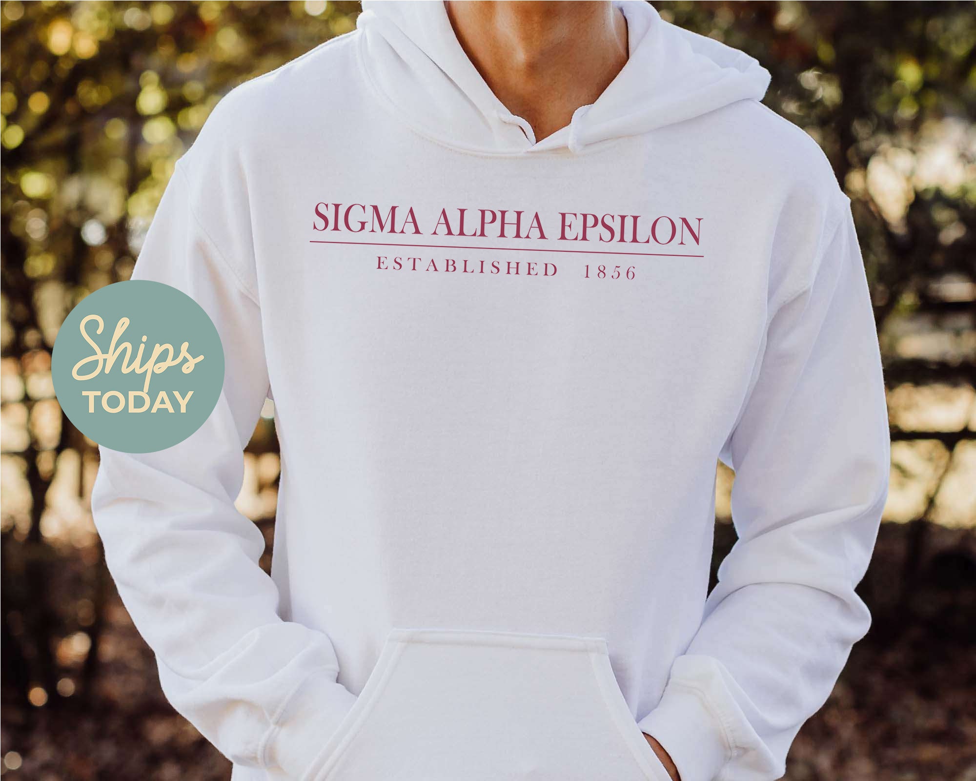 Sigma Alpha Epsilon Old Fashioned Vintage Fraternity - Etsy