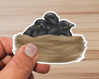 Sticker-  Water Proof Sticker- Baby CROW - RAVEN - Cartoon Style - vinyl 3"