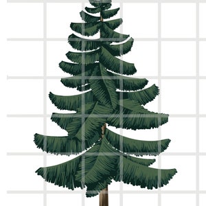 Peut inclure: Un grand pin vert avec un tronc brun. L'arbre a de nombreuses branches et aiguilles. L'arbre est isol&eacute; sur un fond blanc.