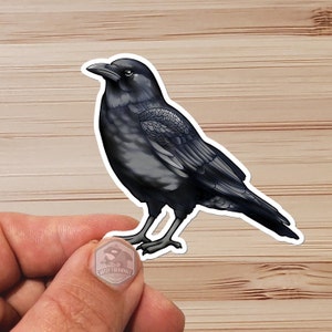 Sticker-  Water Proof Sticker- CROW - RAVEN - Cartoon Style - vinyl 3&quot;