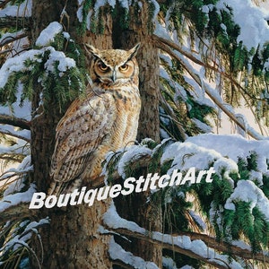 Owl