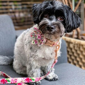 May include: A small dog with black and white fur sits on a gray chair, wearing a floral collar and leash. The collar is rose gold with the name "Vega" engraved. The leash and flower are pink and white.