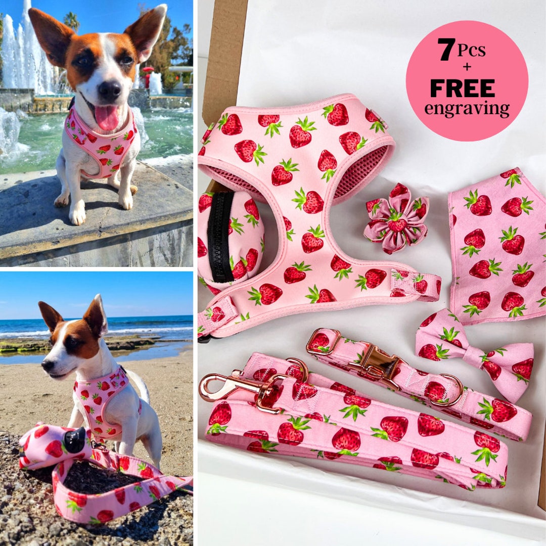 Adjustable Strawberries Dog Harness Leash Set, Personalized Pink Dog