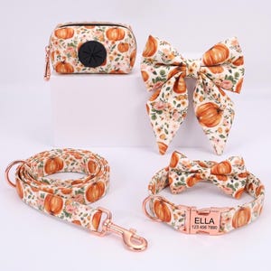 May include: A pet accessory set featuring a pumpkin and floral print on a cream background. Includes a waste bag dispenser, a large bow, a leash with a rose gold metal clip, and a collar with a rose gold buckle engraved with ELLA 123 456 7890.
