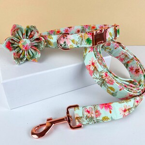 Personalized Floral Dog Collar, Dog Collar Leash Set, Dog Flower Collar, Engraved Dog Collar with Name, Dog Collar Girl image 1