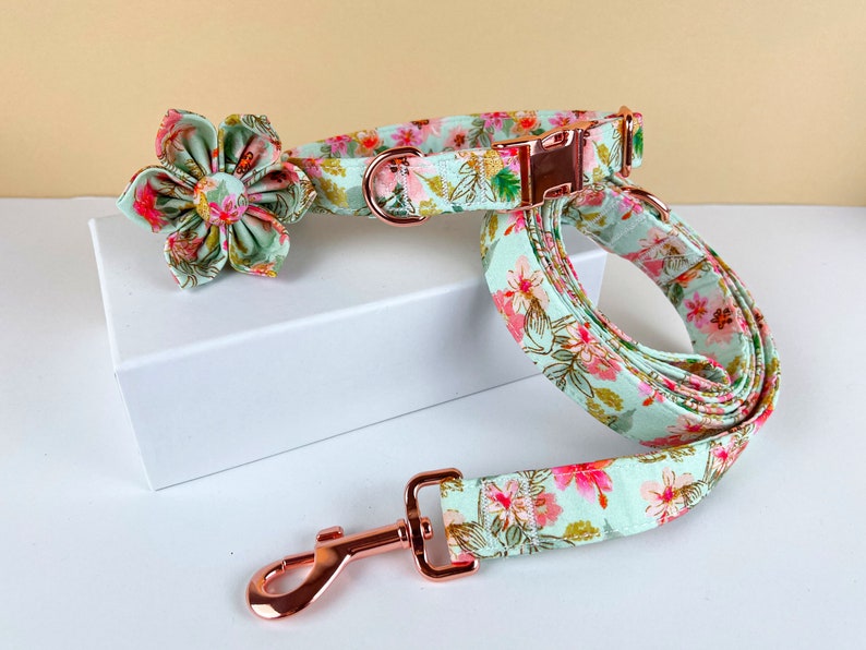 Personalized Floral Dog Collar, Dog Collar Leash Set, Dog Flower Collar, Engraved Dog Collar with Name, Dog Collar Girl image 1