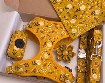 Arnés floral para perro: collar y correa personalizados, chaleco antitirones