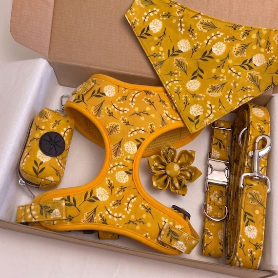 Floral Dog Harness Set: Custom Collar & Leash, No-Pull Vest