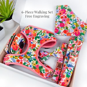 Set di pettorine floreali per cani, collare e guinzaglio personalizzati, set da passeggio coordinato da 6 pezzi, gilet regolabile anti-tiro