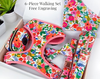 Personalized Floral Dog Harness Set with Engraved Collar & Leash, 6-Piece Matching Walking Set, No-Pull Vest, Gift for Dog Mom