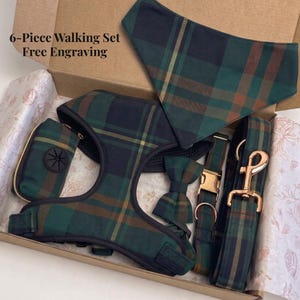 Plaid Dog Harness Set with Name, Engraved Scottish Tartan Collar and Leash Box Set, Personalized Fall Puppy Gift Set, Dog Mom Gift