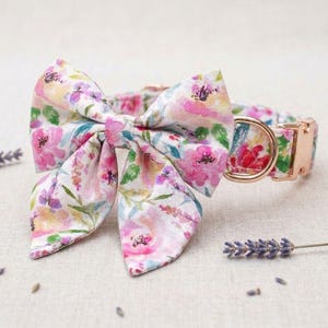 May include: A floral dog collar with a matching bow tie. The collar and bow tie feature a white background with pink, purple, and green floral patterns. The hardware is gold-colored.