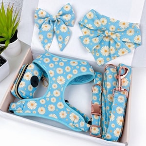 May include: A dog accessory set featuring a light blue daisy print. The set includes a harness, leash, collar, bow tie, bandana, and waste bag dispenser. The metal hardware is rose gold. The items are arranged in a white box.