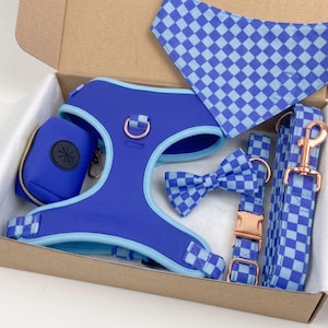 May include: A pet accessory set in a cardboard box, featuring a solid blue harness with light blue trim, a blue and light blue checkered bandana, a matching checkered bow tie, a checkered collar, a checkered leash, and a blue waste bag holder.