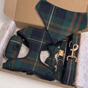 May include: A pet accessory set in a dark green, navy, and brown plaid pattern. The set includes a harness, a leash with a gold-tone metal clip, a bowtie, a triangular bandana, and a small waste bag dispenser with a black rubber opening.