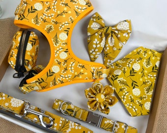 Arnés floral para perro: collar y correa personalizados, chaleco antitirones